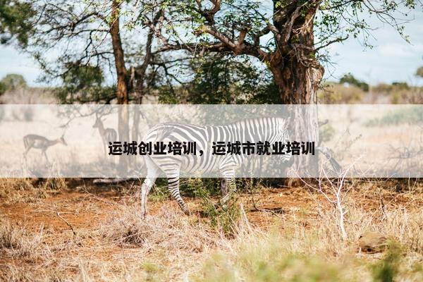 运城创业培训，运城市就业培训