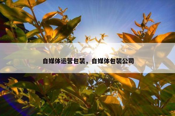 自媒体运营包装，自媒体包装公司