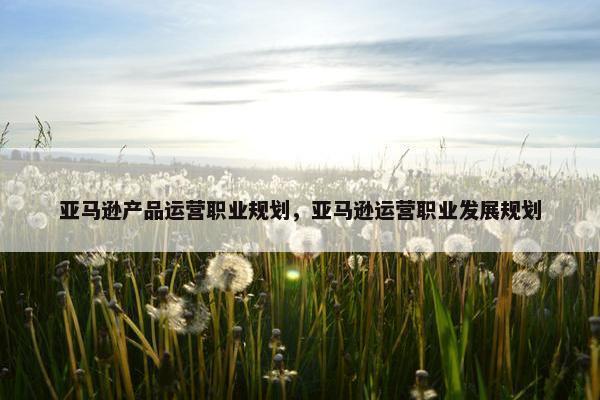 亚马逊产品运营职业规划，亚马逊运营职业发展规划