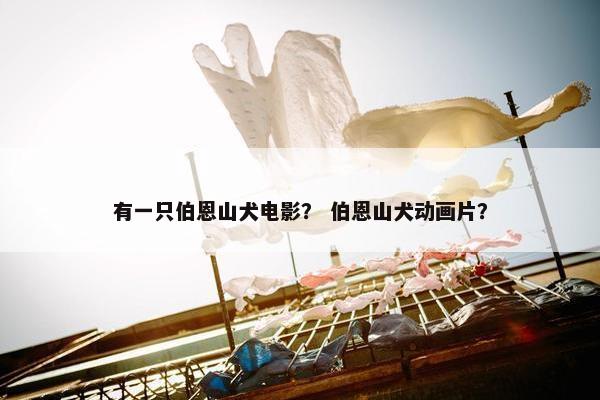 有一只伯恩山犬电影？ 伯恩山犬动画片？