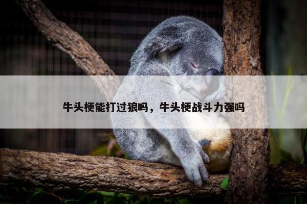 牛头梗能打过狼吗，牛头梗战斗力强吗