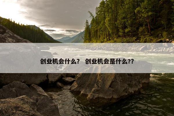 创业机会什么？ 创业机会是什么?？