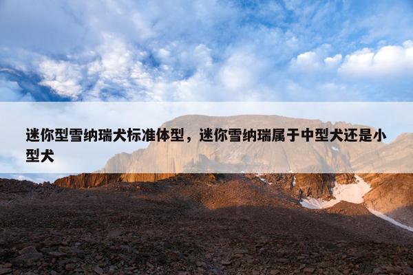 迷你型雪纳瑞犬标准体型，迷你雪纳瑞属于中型犬还是小型犬