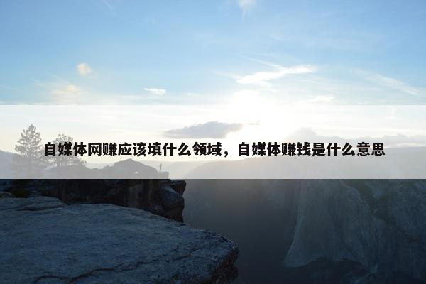 自媒体网赚应该填什么领域，自媒体赚钱是什么意思