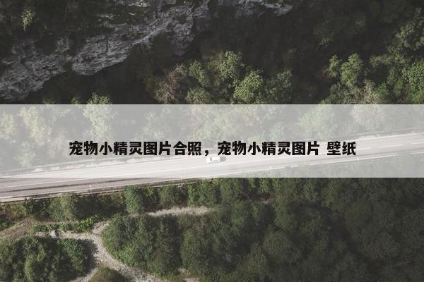宠物小精灵图片合照，宠物小精灵图片 壁纸
