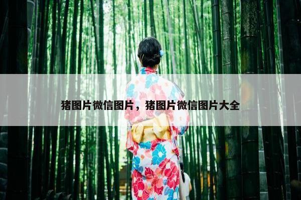 猪图片微信图片，猪图片微信图片大全