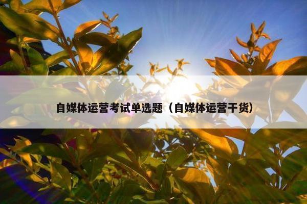 自媒体运营考试单选题（自媒体运营干货）