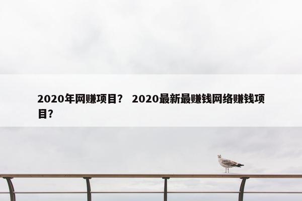 2020年网赚项目？ 2020最新最赚钱网络赚钱项目？