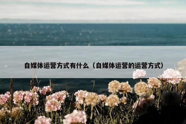 自媒体运营方式有什么（自媒体运营的运营方式）