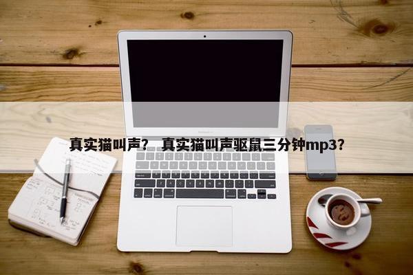 真实猫叫声？ 真实猫叫声驱鼠三分钟mp3？
