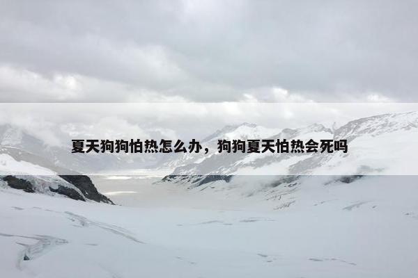 夏天狗狗怕热怎么办，狗狗夏天怕热会死吗