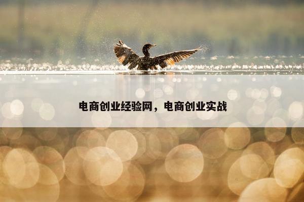 电商创业经验网，电商创业实战