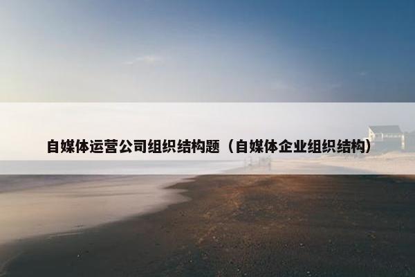 自媒体运营公司组织结构题（自媒体企业组织结构）