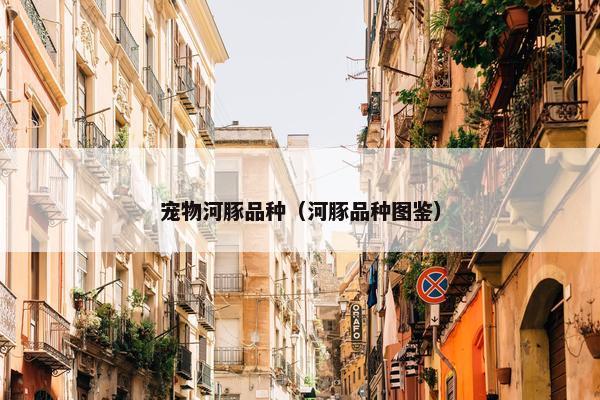 宠物河豚品种（河豚品种图鉴）