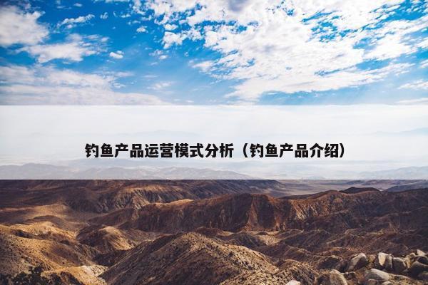 钓鱼产品运营模式分析（钓鱼产品介绍）