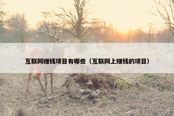 互联网赚钱项目有哪些（互联网上赚钱的项目）