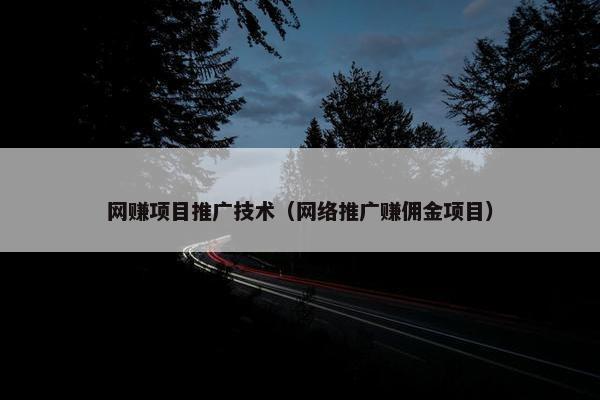 网赚项目推广技术（网络推广赚佣金项目）