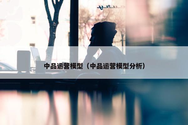 中品运营模型（中品运营模型分析）