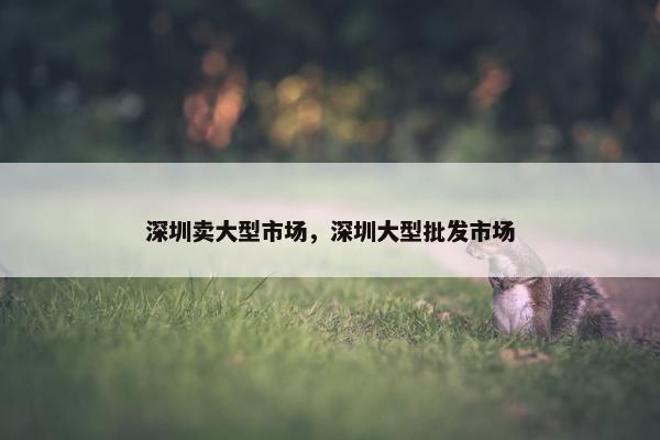 深圳卖大型市场，深圳大型批发市场