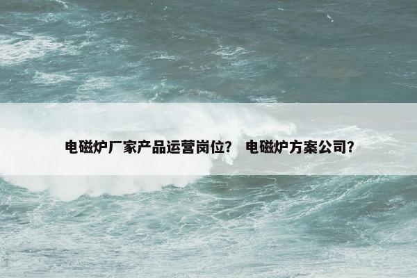 电磁炉厂家产品运营岗位？ 电磁炉方案公司？