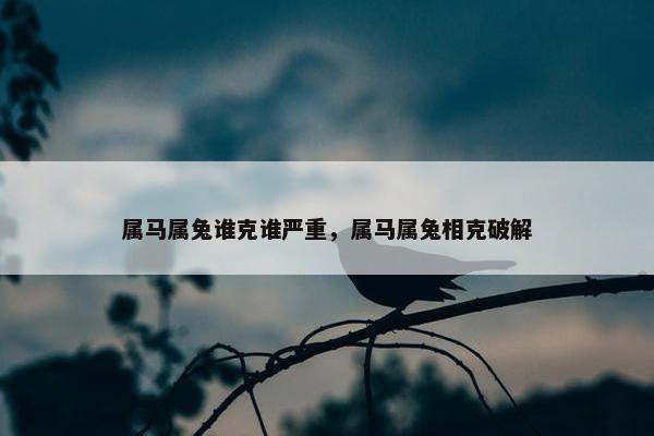 属马属兔谁克谁严重，属马属兔相克破解