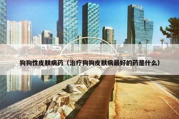 狗狗性皮肤病药（治疗狗狗皮肤病最好的药是什么）