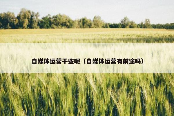 自媒体运营干些呢（自媒体运营有前途吗）