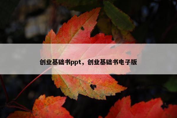 创业基础书ppt，创业基础书电子版