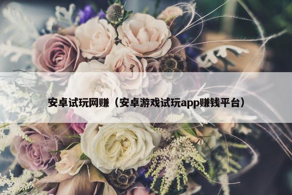 安卓试玩网赚（安卓游戏试玩app赚钱平台）