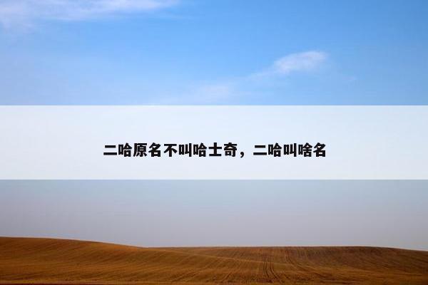 二哈原名不叫哈士奇，二哈叫啥名