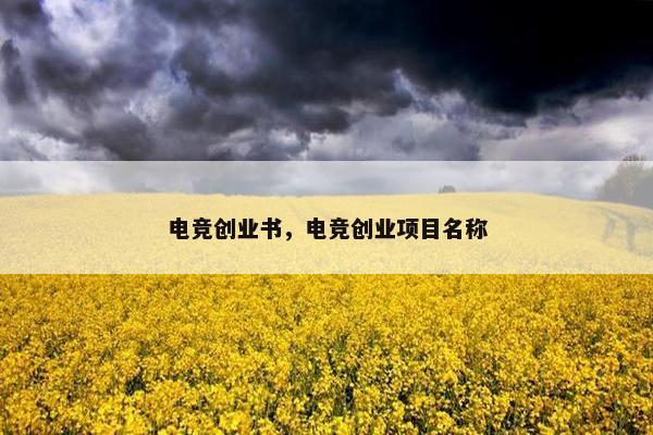 电竞创业书，电竞创业项目名称
