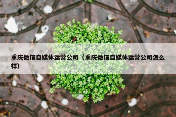 重庆微信自媒体运营公司（重庆微信自媒体运营公司怎么样）