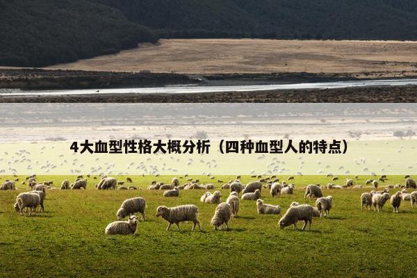 4大血型性格大概分析（四种血型人的特点）