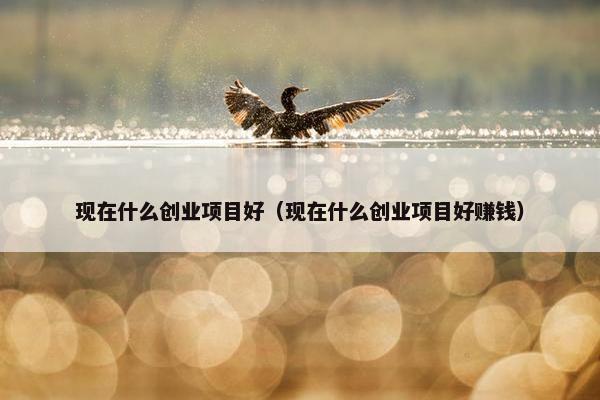现在什么创业项目好（现在什么创业项目好赚钱）