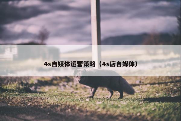4s自媒体运营策略（4s店自媒体）
