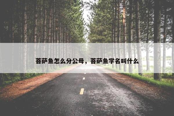 菩萨鱼怎么分公母，菩萨鱼学名叫什么