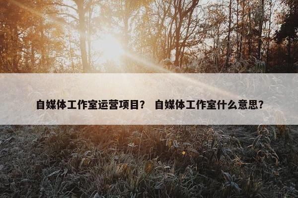 自媒体工作室运营项目？ 自媒体工作室什么意思？