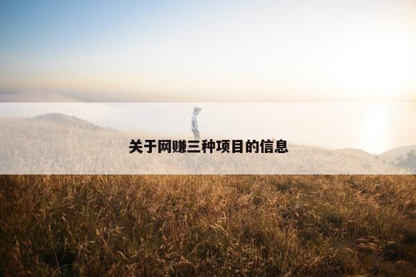 关于网赚三种项目的信息