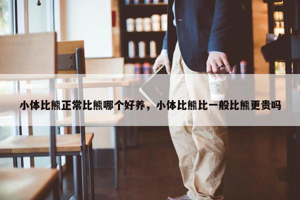 小体比熊正常比熊哪个好养，小体比熊比一般比熊更贵吗