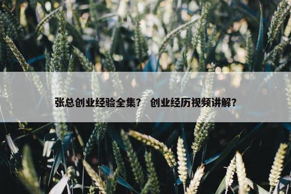 张总创业经验全集？ 创业经历视频讲解？