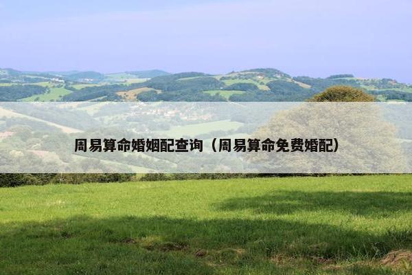 周易算命婚姻配查询（周易算命免费婚配）