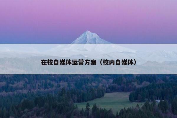在校自媒体运营方案（校内自媒体）