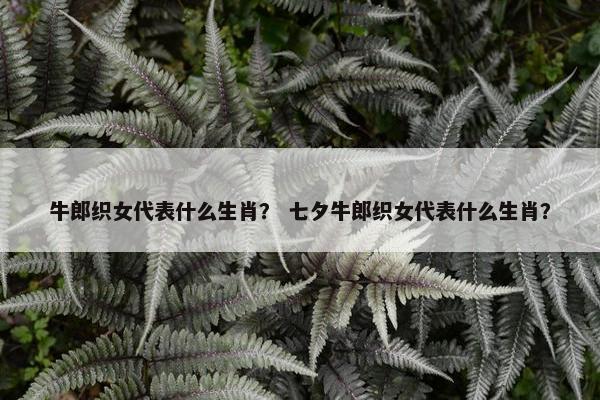 牛郎织女代表什么生肖？ 七夕牛郎织女代表什么生肖？