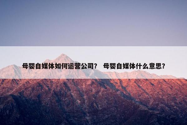 母婴自媒体如何运营公司？ 母婴自媒体什么意思？
