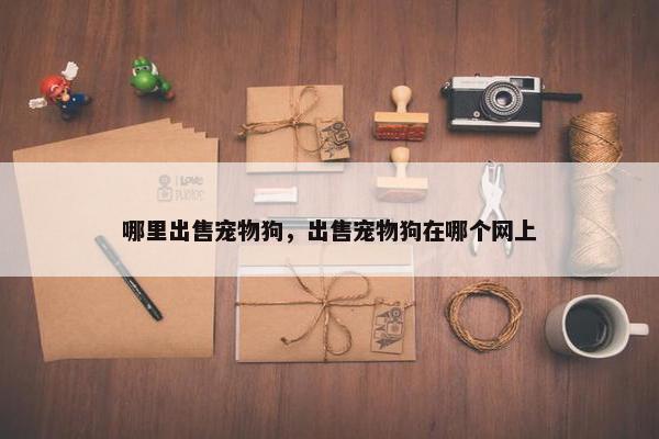 哪里出售宠物狗，出售宠物狗在哪个网上