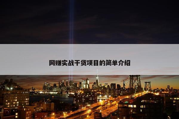 网赚实战干货项目的简单介绍