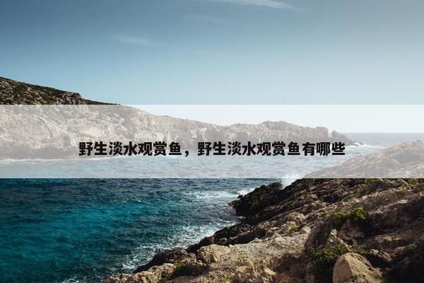 野生淡水观赏鱼，野生淡水观赏鱼有哪些