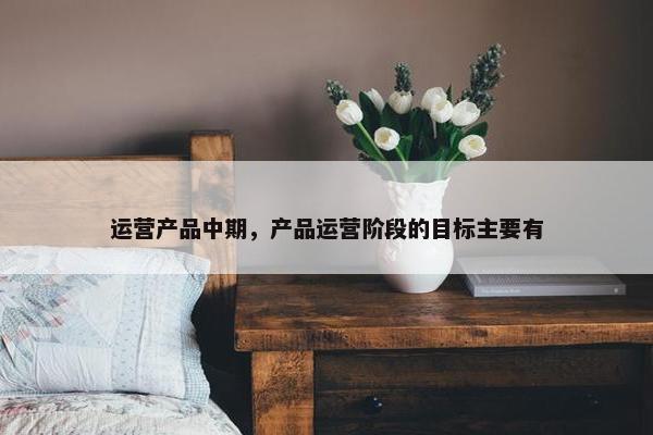 运营产品中期，产品运营阶段的目标主要有