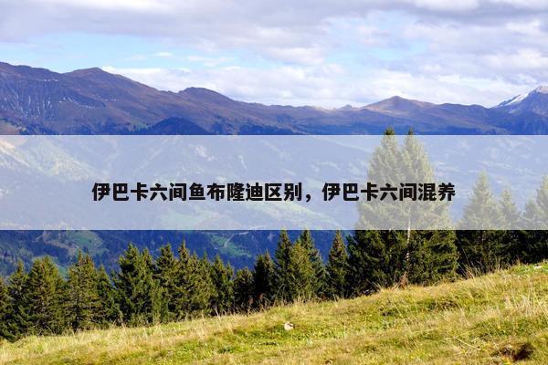 伊巴卡六间鱼布隆迪区别，伊巴卡六间混养