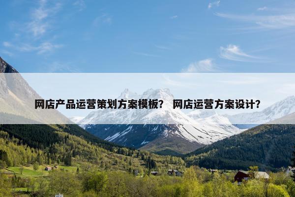 网店产品运营策划方案模板？ 网店运营方案设计？